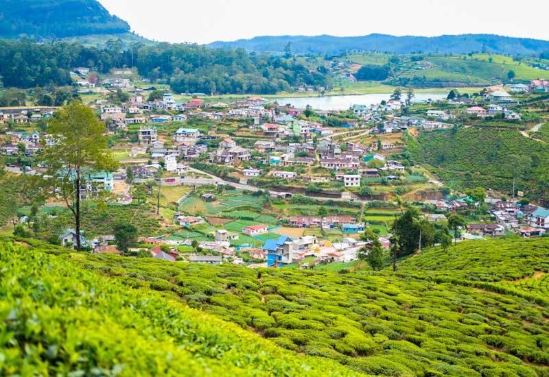 Green Mount View Two Bed Room Apartment Nuwara Eliya Exterior photo